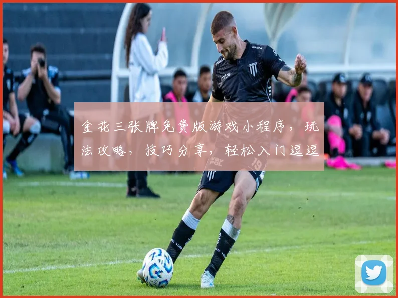 金花三张牌免费版游戏小程序，玩法攻略，技巧分享，轻松入门逗逗乐